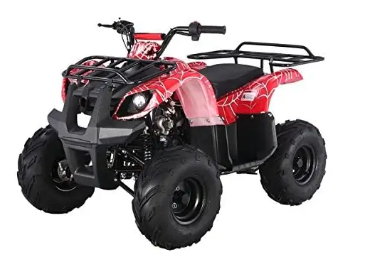 TAO TAO ATA-125D ATV