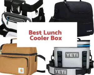 Best Lunch Cooler Box