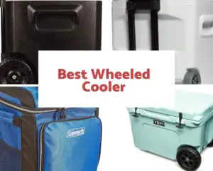 Best wheeled cooler