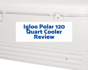 Igloo Polar 120 Quart Cooler Review
